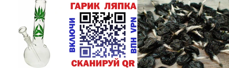 ОМГ ОМГ tor  цена наркотик  Ессентуки  Гашиш индика сатива 