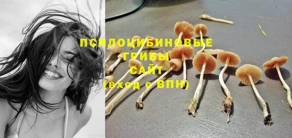 2c-b Балахна