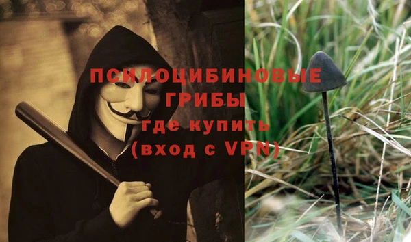 2c-b Балахна
