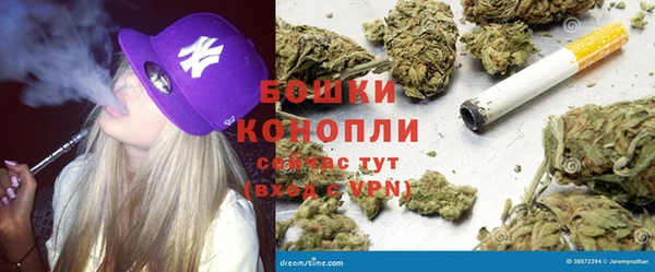 сатива Балабаново