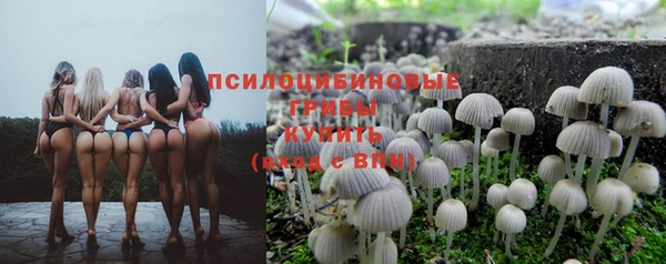 бошки Белокуриха