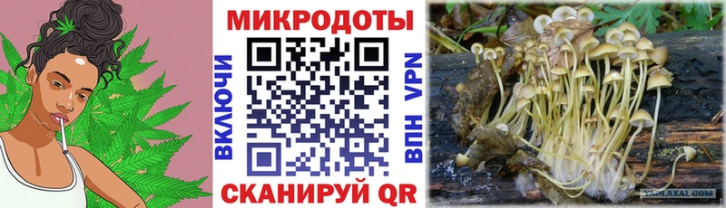 Псилоцибиновые грибы прущие грибы  omg tor  Ессентуки 