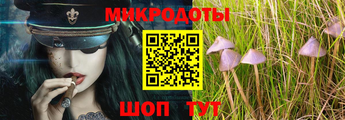 Псилоцибиновые грибы Magic Shrooms  Псилоцибиновые грибы мицелий  Вход с VPN  Ессентуки 